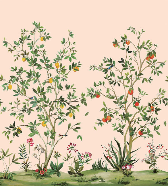 blush_citrus-grove-mural