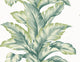Aloha Green