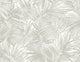 Dove