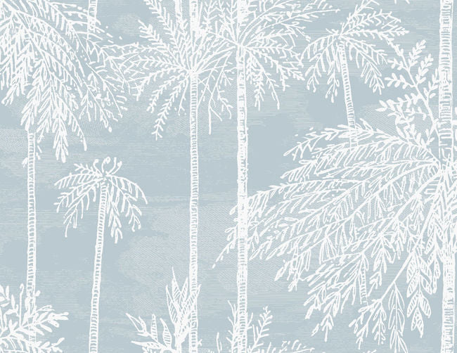 clear-skys_palm-grove-54-in