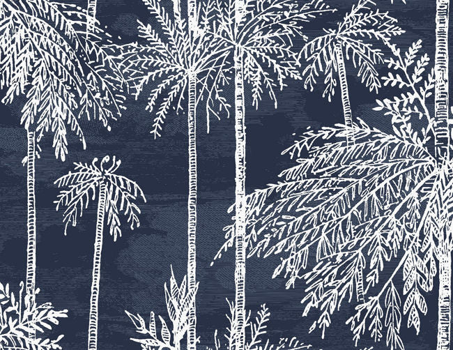 midnight-sky_palm-grove-54-in