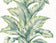 Aloha Green