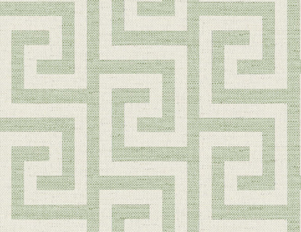 Fern