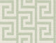 Fern