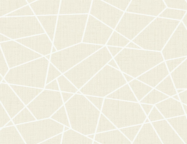 white-abalone_crossroads-questex