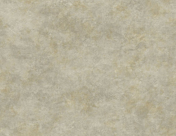 Desert Shine