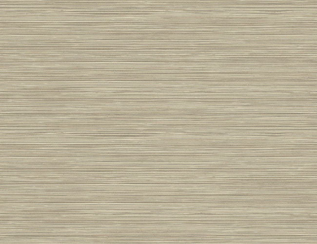 rye-seed_geo-pampas-grasscloth-texture-questex