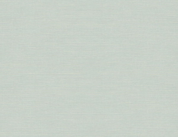 agave_moroccan-sisal-texture-questex