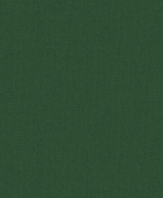 forest_darcy
