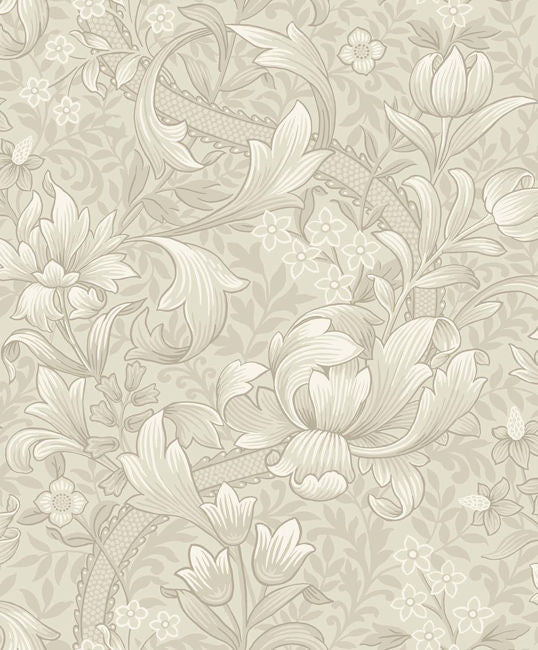 parchment_rosie