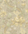 Golden Olive