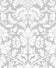 Grey Dove