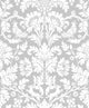 Grey Dove