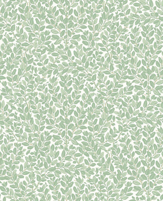 apple-green_francesca