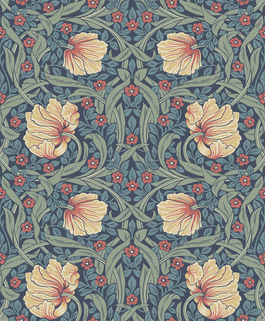 tulip-field_pimpernel