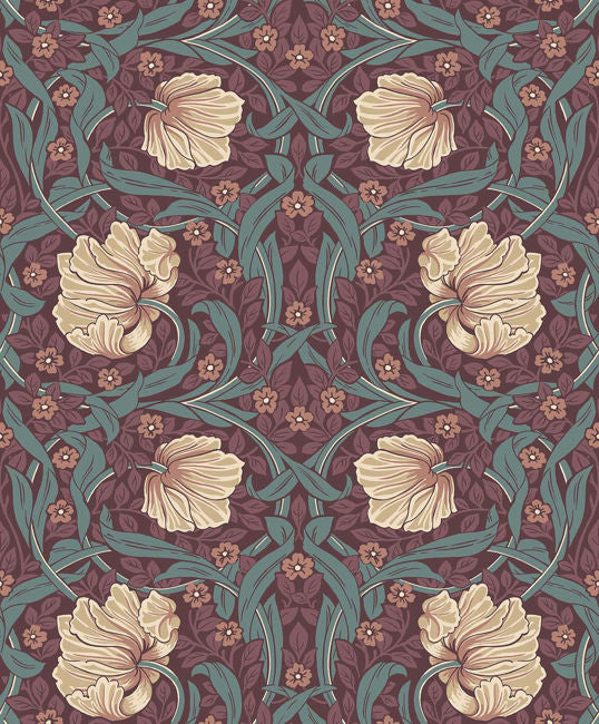 plum_pimpernel