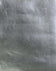 Silver Leaf