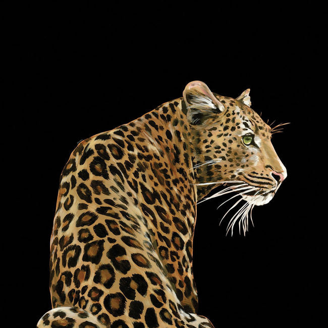 alessio_leopardo-solo-mural