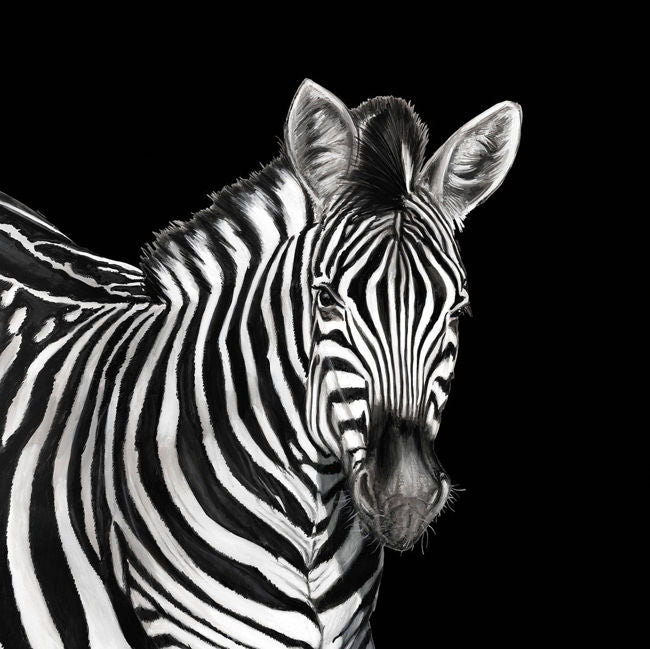 lucia_zebra-mural