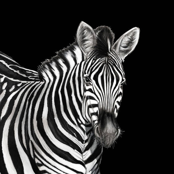 lucia_zebra-mural