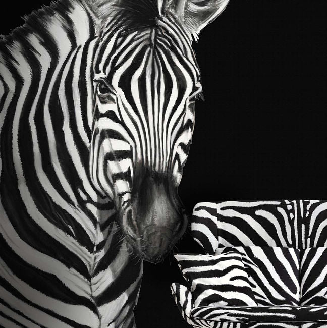 lucia_zebra-mural