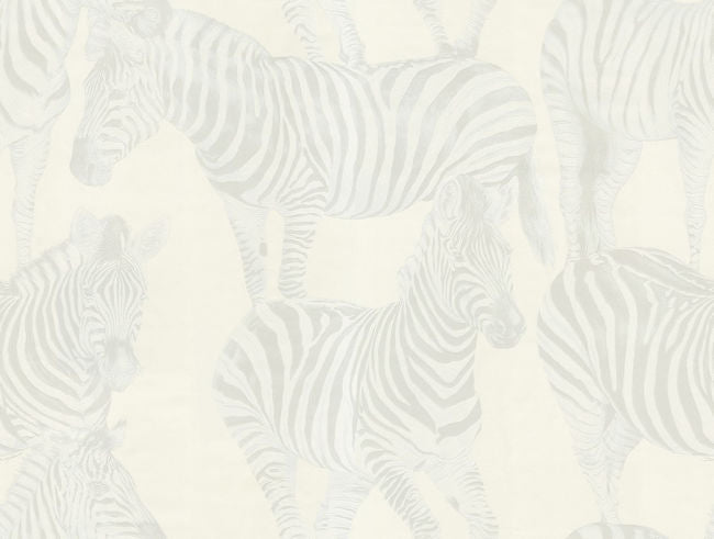 carina_zebra-romance