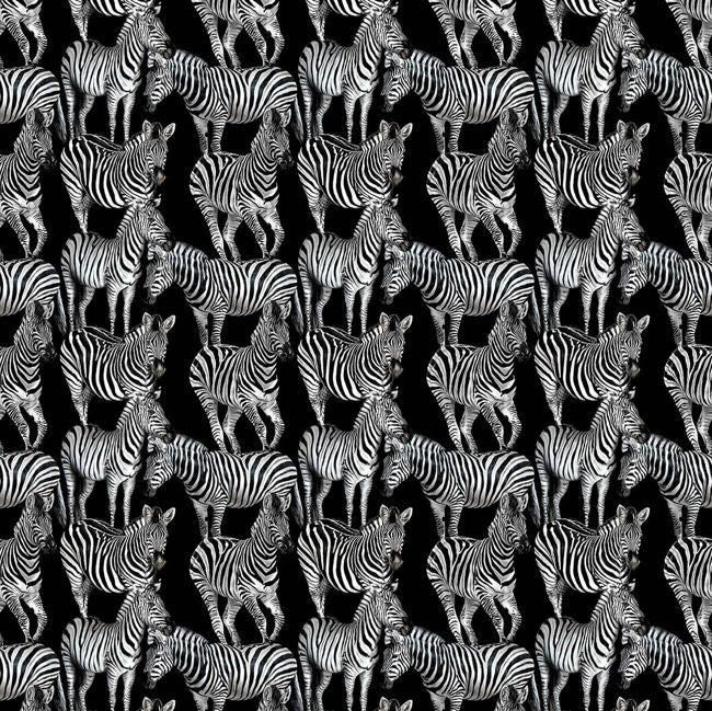 tullio_multi-zebra-mural