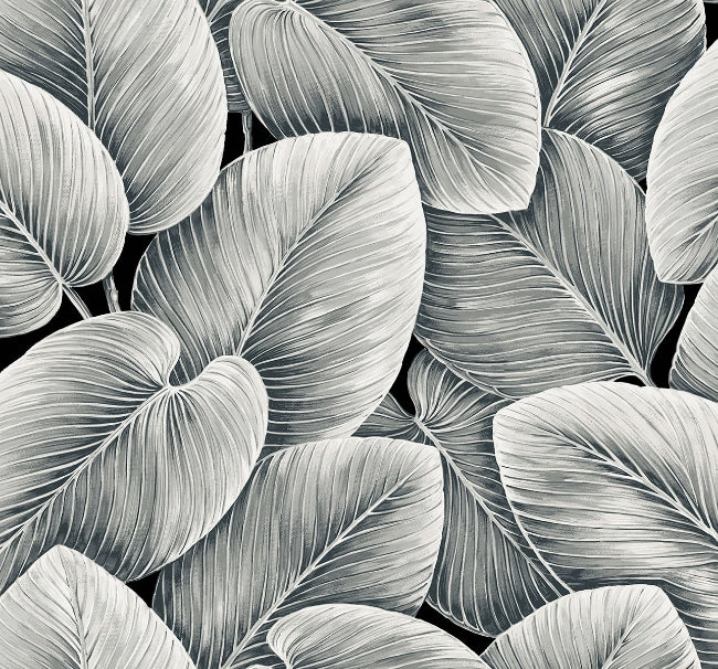 jet_lush-leaf