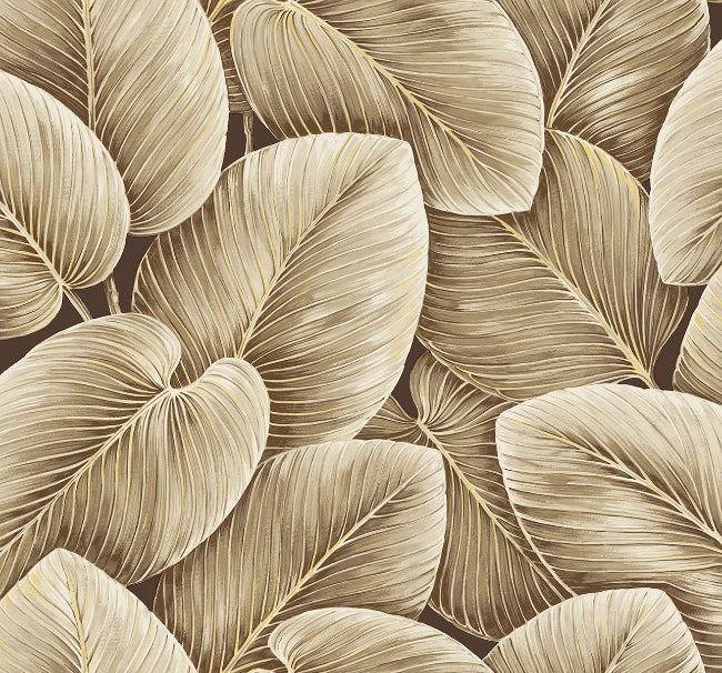 chocolate_lush-leaf