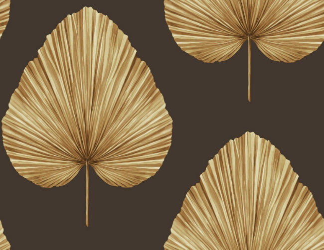 coffee-bean_grande-leaf