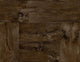 Teak