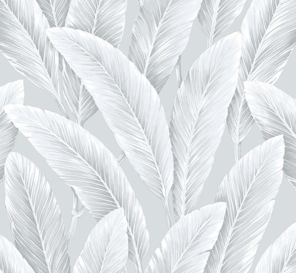 silver-lining_foliage-sisal