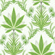 Sage