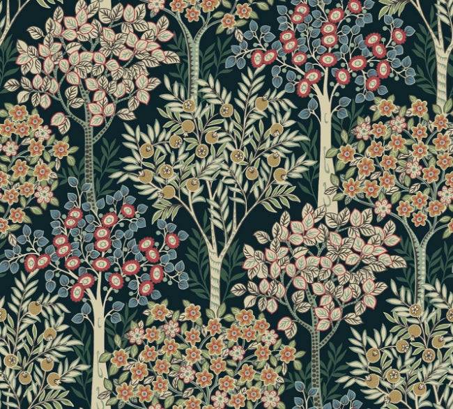 olive-tree_grove