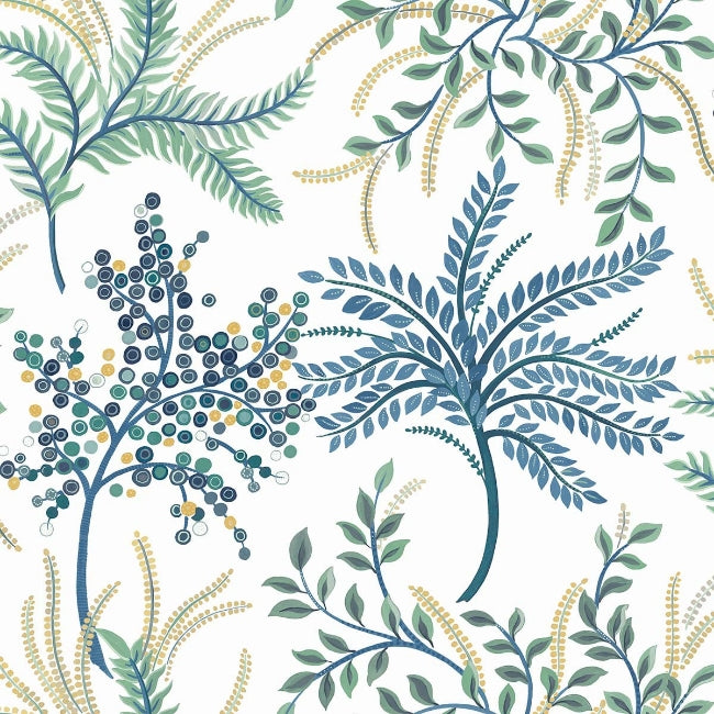 blue-green_bedgebury