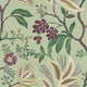 Mulberry
