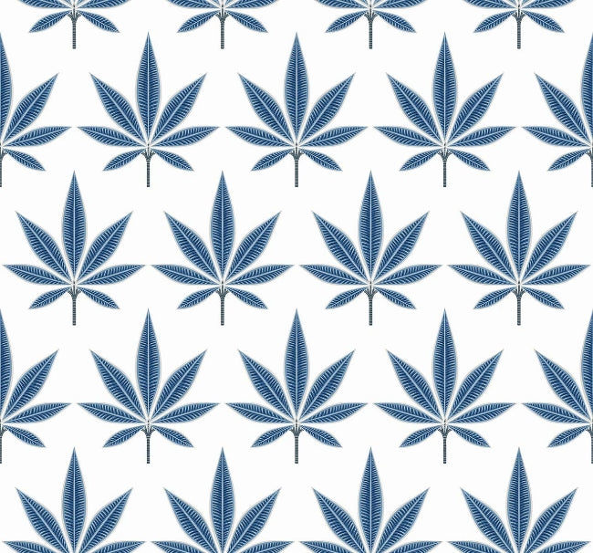 tranquil-blue_bicton