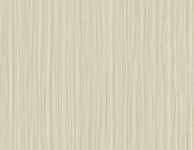 rice-paper_salo-27