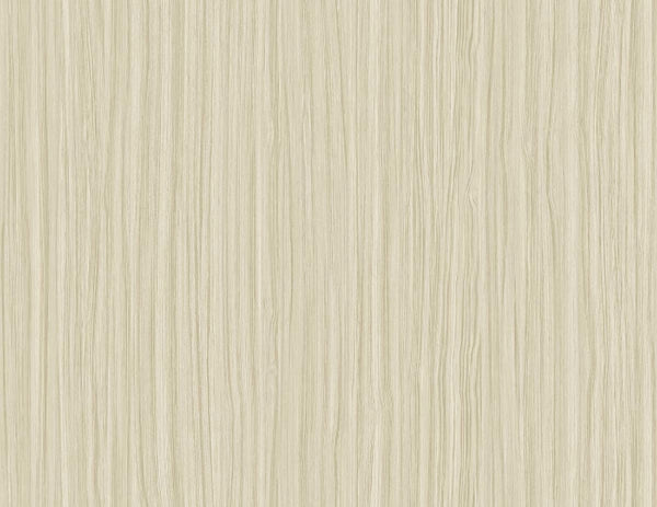 Rice Paper