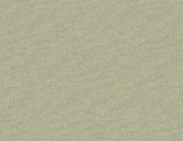 Olive Gray