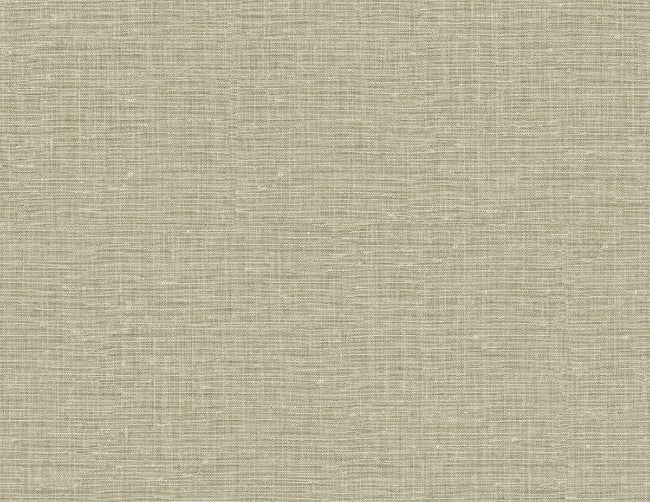 tan_nomi-54-tan-2