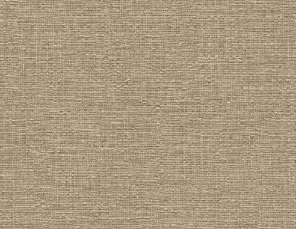 macadamia_nomi-54-macadamia
