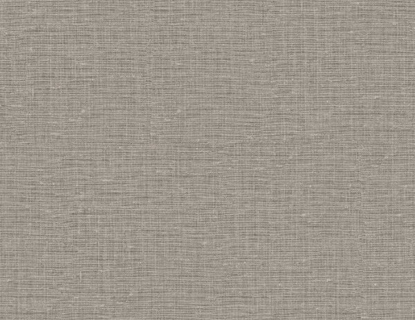ash-gray_nomi-54-ash-gray