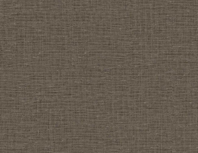 shale_nomi-54-shale