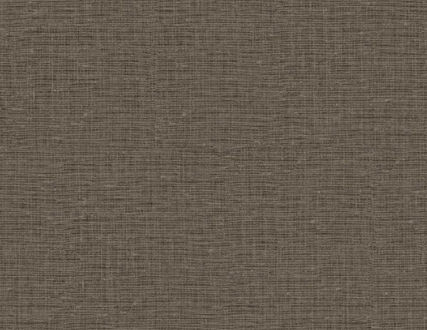 shale_nomi-54-shale