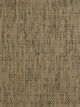 Papyrus