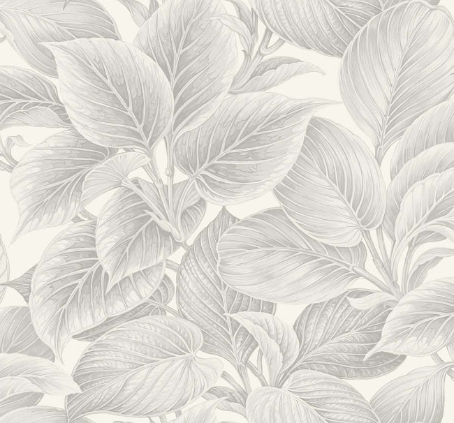 soft-gray_wasilla