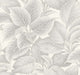Soft Gray