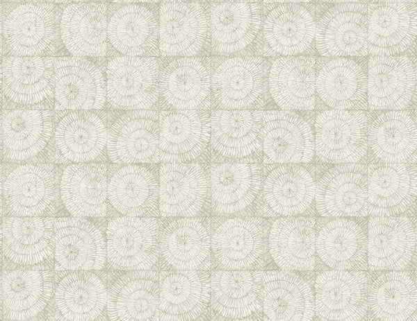 Winter Gray