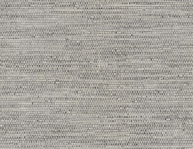 fog_tok